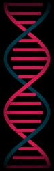 DNA DNA