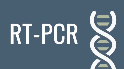 RT-PCR RT-PCR
